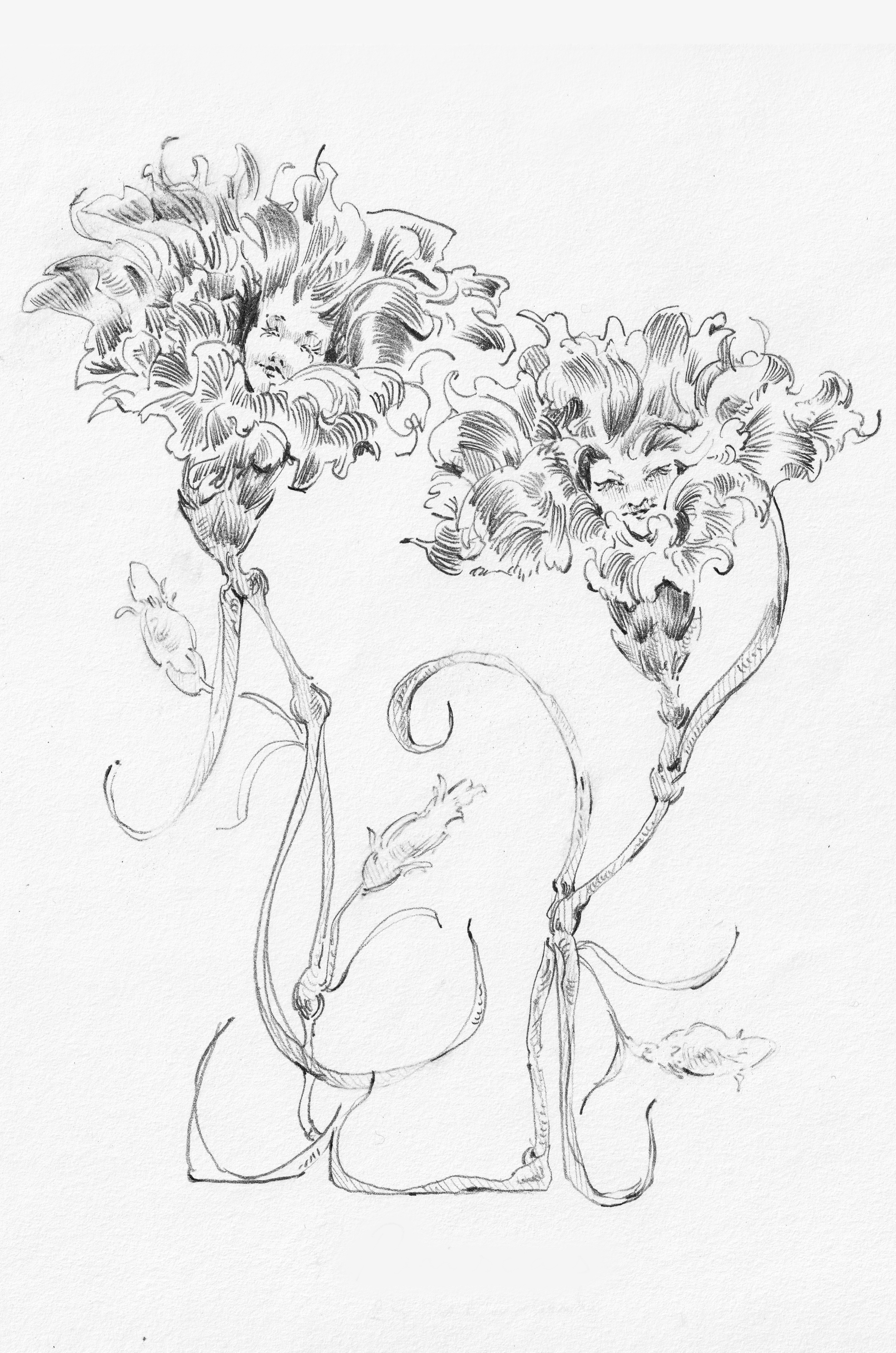 Flower Spirits (2024), graphite on paper, 14 x 21 cm